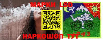 ГАЛЛЮЦИНОГЕННЫЕ ГРИБЫ Ипатово