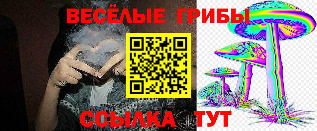 Павлово  Галлюциногенные грибы Cubensis  Вход с VPN  Галлюциногенные грибы мухоморы 